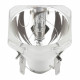 L2R - Lampe MSD Platinium2R Philips 132W-6000H-8000°K-5150Lm