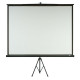 Tripod Screen