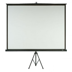 Tripod Screen