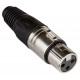 XLR female CABLE Beglec