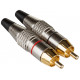 RCA male CABLE Beglec