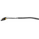 TRUE1/XLR-5P COMBI CABLE 10M Beglec